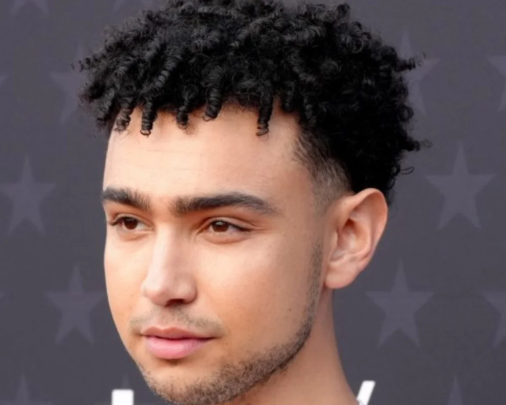 Boys Haircuts: 40 Cool & Stylish for Every Personality 28 Box Twists with Fade