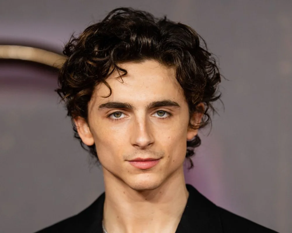 27 Professional Men’s Haircuts for Modern Businessmen 4 Curly Hair
