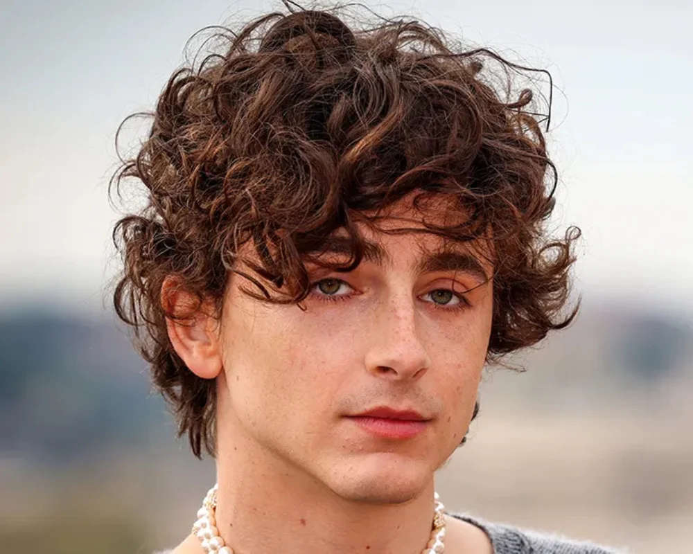 Boys Haircuts: 40 Cool & Stylish for Every Personality 21 Curly Mop